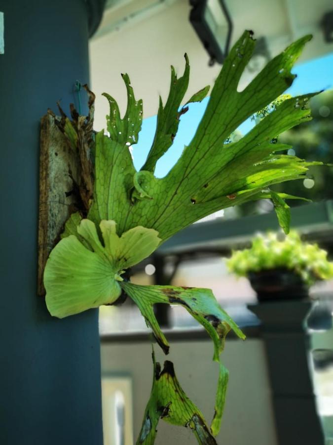 Surprised Homestay Butterworth Bagian luar foto